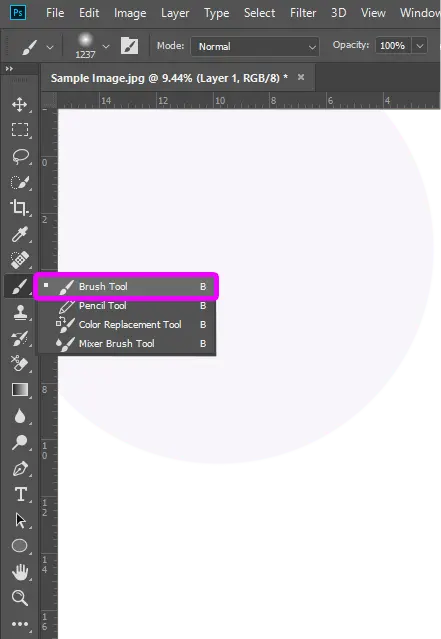 Step 3: Select the Brush Tool